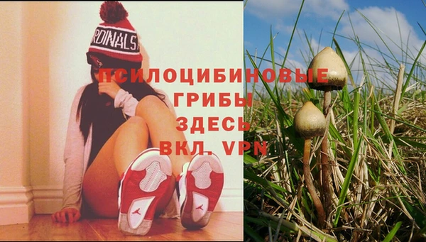 марихуана Богородск