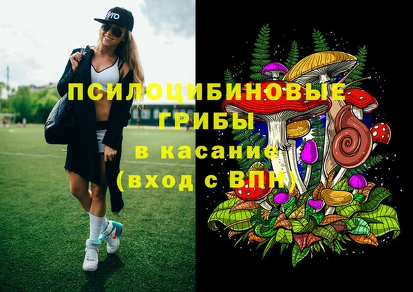 мяу мяу кристалл Богданович