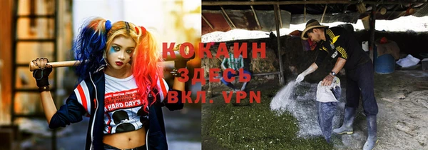 мяу мяу кристалл Богданович
